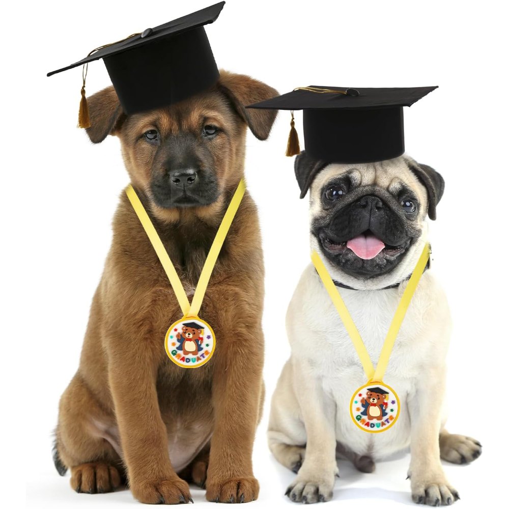 Graduation Medals for Kids, view 5