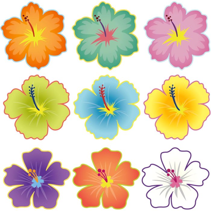 Luau Hibiscus Flower Cutouts Back to School Bulletin