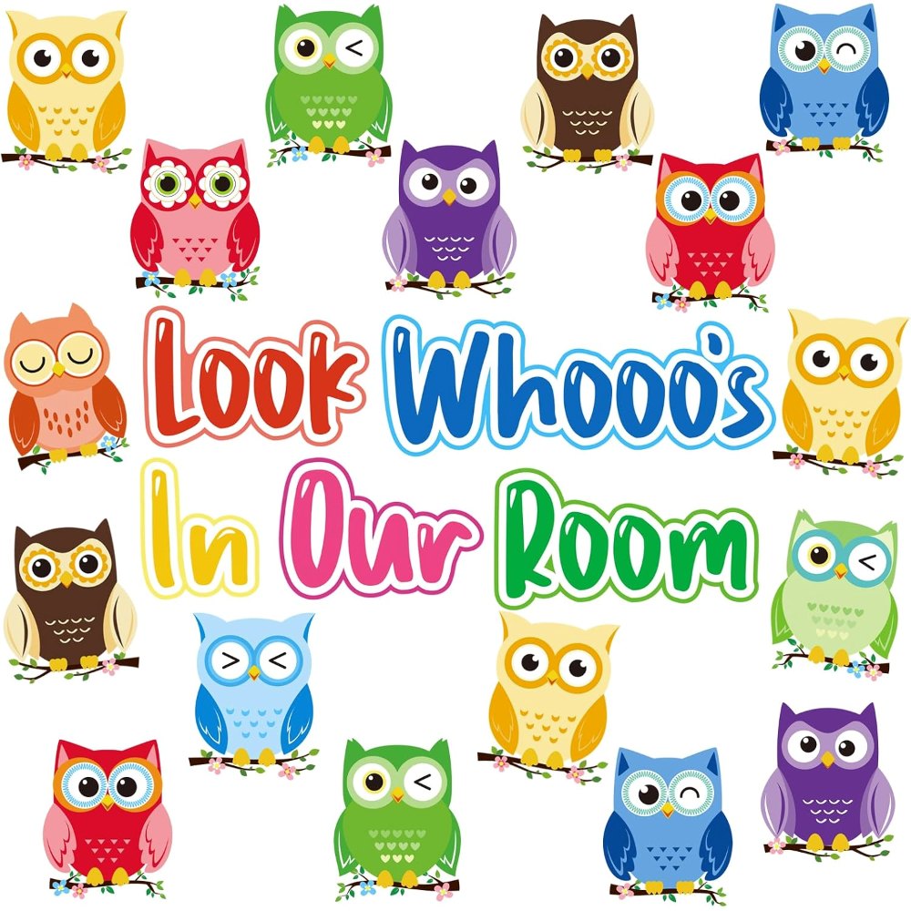 Owl Bulletin Board Decorations Set Owl Classroom Decor