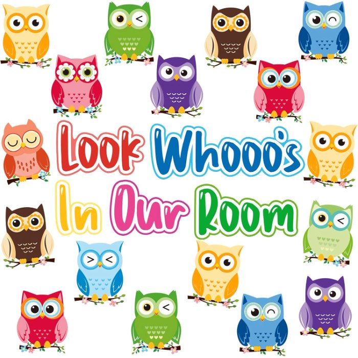 Owl Bulletin Board Decorations Set Owl Classroom Decor