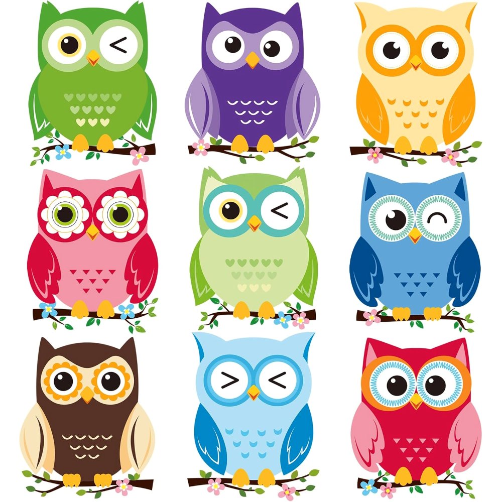 Owl Cutouts Colorful Owl Bulletin Board Decor Owls Name