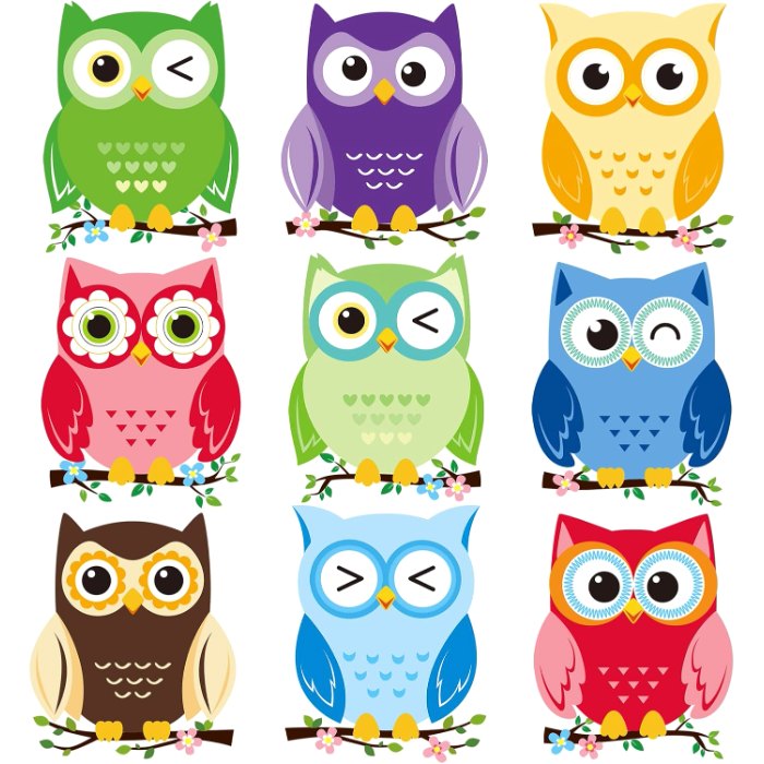 Owl Cutouts Colorful Owl Bulletin Board Decor Owls Name